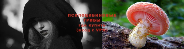 прущая мука Бородино