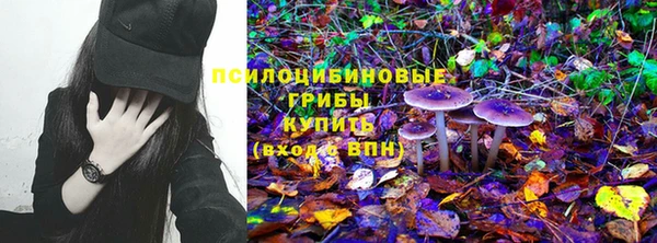 ГАЛЛЮЦИНОГЕННЫЕ ГРИБЫ Бугульма