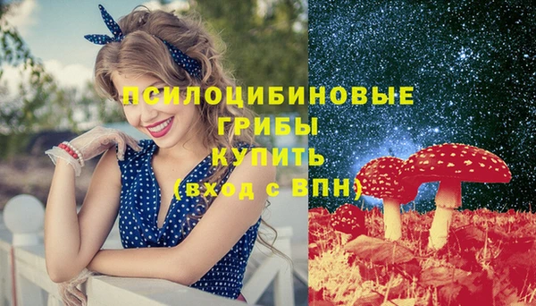 ГАЛЛЮЦИНОГЕННЫЕ ГРИБЫ Бугульма