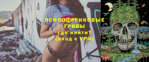эйфоретик Бронницы