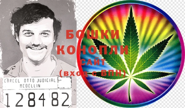 ГАЛЛЮЦИНОГЕННЫЕ ГРИБЫ Бугульма
